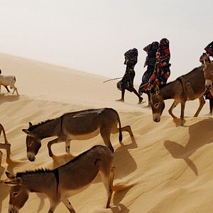 Bilder Nathalie Borgers