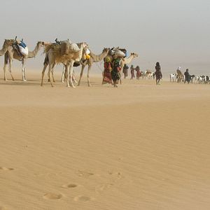 Bilder Nathalie Borgers