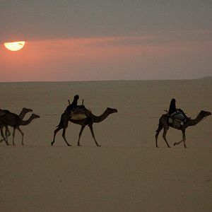 Bilder Nathalie Borgers