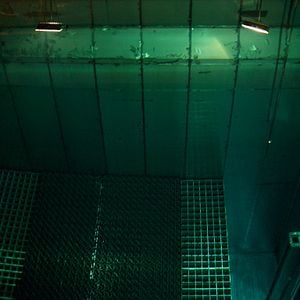 Bilder Michael Madsen (II)