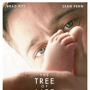 Bilder The Tree of Life