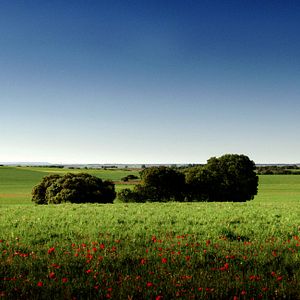 Bilder Los caminos de la memoria