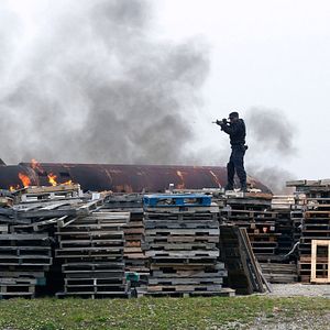 Bilder XIII - Die Verschwörung