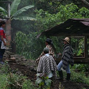 Bilder Colors of the Mountain