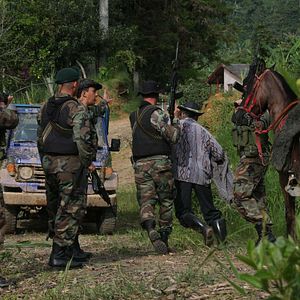 Bilder Colors of the Mountain