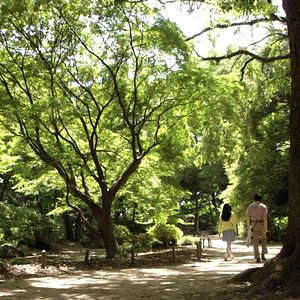 Bilder Naokos Lächeln