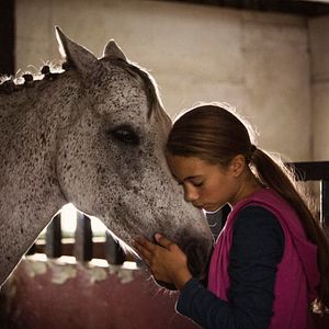 Bilder Ein Pferd für Klara