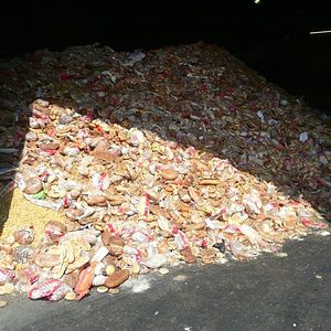 Bilder Frisch auf den Müll