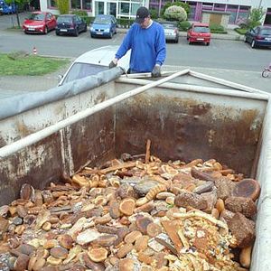 Bilder Frisch auf den Müll