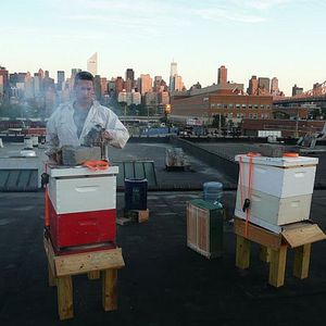 Bilder Frisch auf den Müll