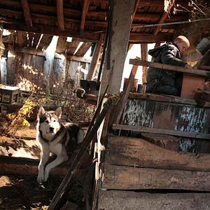 Bilder Siberia, Monamour