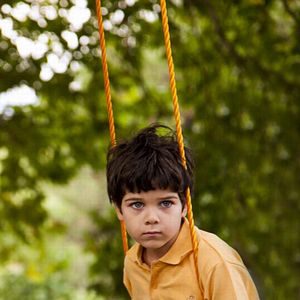 Bilder Çınar Ağacı