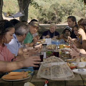 Bilder Çınar Ağacı