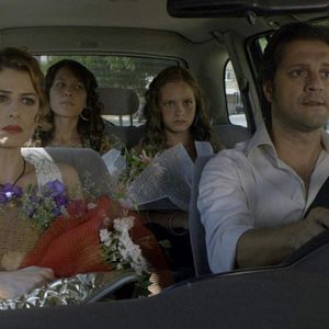 Bilder Çınar Ağacı