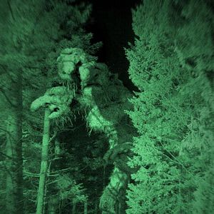 Bilder Troll Hunter