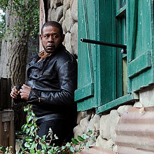 Bilder Criminal Minds: Team Red