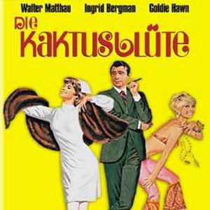 Bilder Die Kaktusblüte