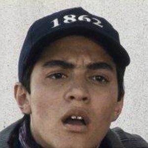 Bilder Safdar Samandar