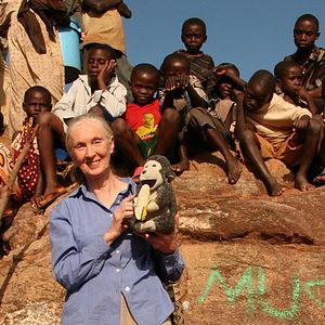 Bilder Jane's Journey - Die Lebensreise der Jane Goodall