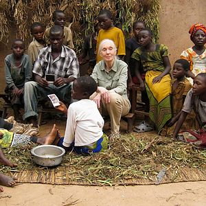 Bilder Jane's Journey - Die Lebensreise der Jane Goodall
