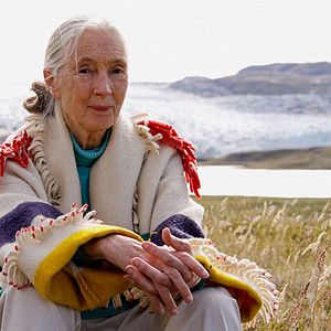 Bilder Jane's Journey - Die Lebensreise der Jane Goodall