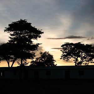 Bilder Jane's Journey - Die Lebensreise der Jane Goodall