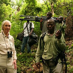Bilder Jane's Journey - Die Lebensreise der Jane Goodall