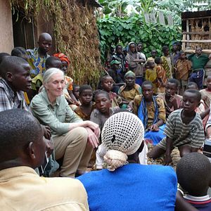Bilder Jane's Journey - Die Lebensreise der Jane Goodall