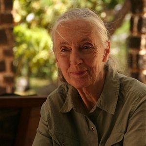 Bilder Jane's Journey - Die Lebensreise der Jane Goodall