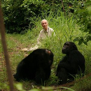 Bilder Jane's Journey - Die Lebensreise der Jane Goodall