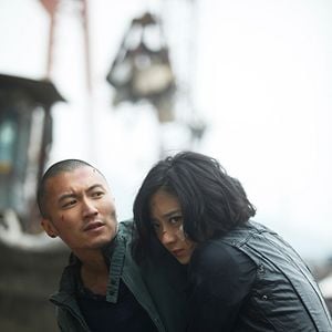 Bilder The Stool Pigeon