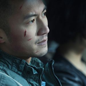 Bilder The Stool Pigeon