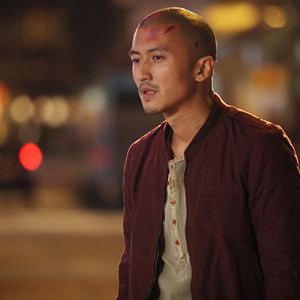 Bilder The Stool Pigeon