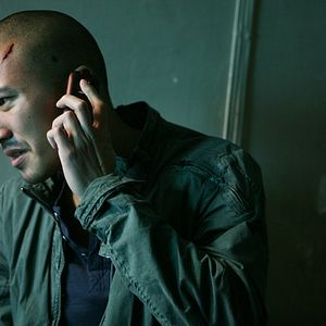 Bilder The Stool Pigeon