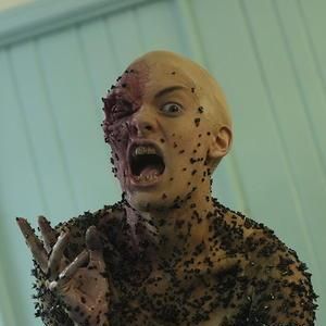 Bilder Don't Look Up