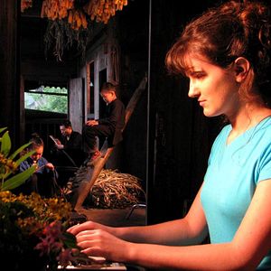 Bilder Si près du Soleil