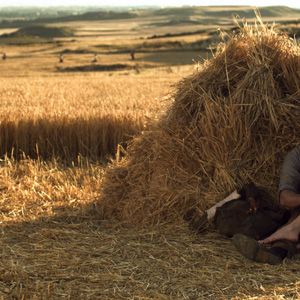 Bilder Von deinem Fenster aus zu meinem