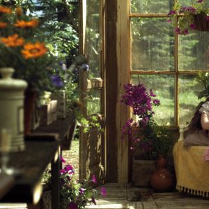 Bilder Von deinem Fenster aus zu meinem