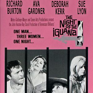 Bilder Die Nacht des Leguan