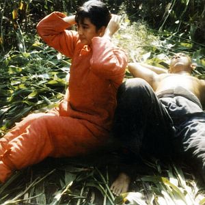 Bilder Rotes Kornfeld