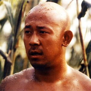 Bilder Rotes Kornfeld