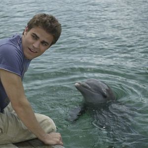 Bilder Beneath the Blue - Geheimnisse der Tiefe