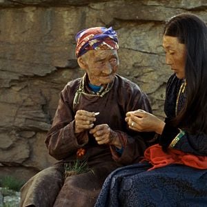 Bilder Das Lied von den zwei Pferden