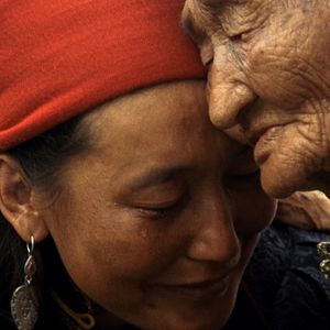 Bilder Das Lied von den zwei Pferden