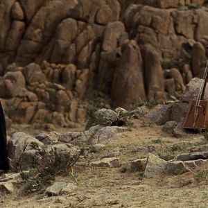 Bilder Das Lied von den zwei Pferden