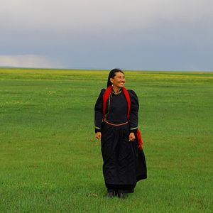 Bilder Das Lied von den zwei Pferden