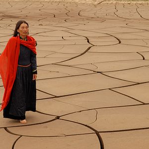 Bilder Das Lied von den zwei Pferden