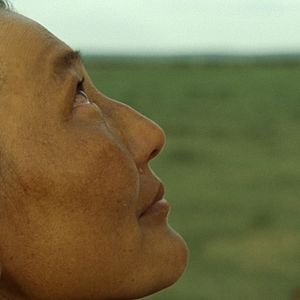 Bilder Das Lied von den zwei Pferden