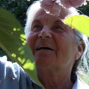 Bilder Kirsten Poggendorff