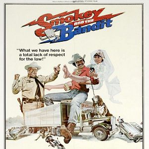 Bilder Ein ausgekochtes Schlitzohr